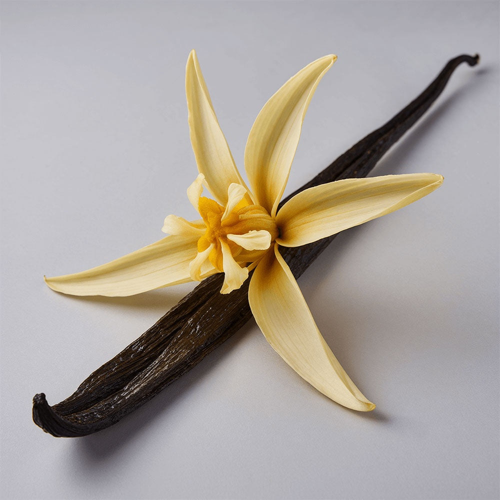 Whipped Vanilla Tallow
