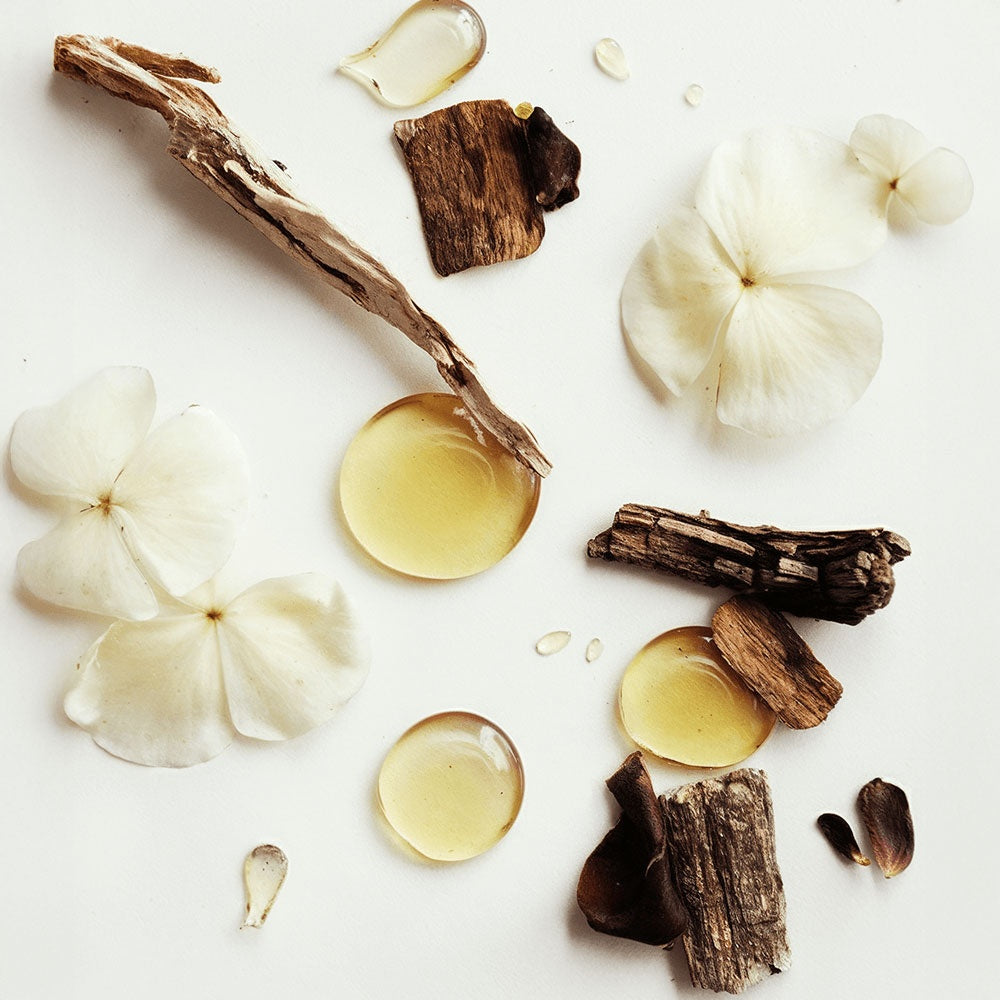 Whipped Vanilla Tallow